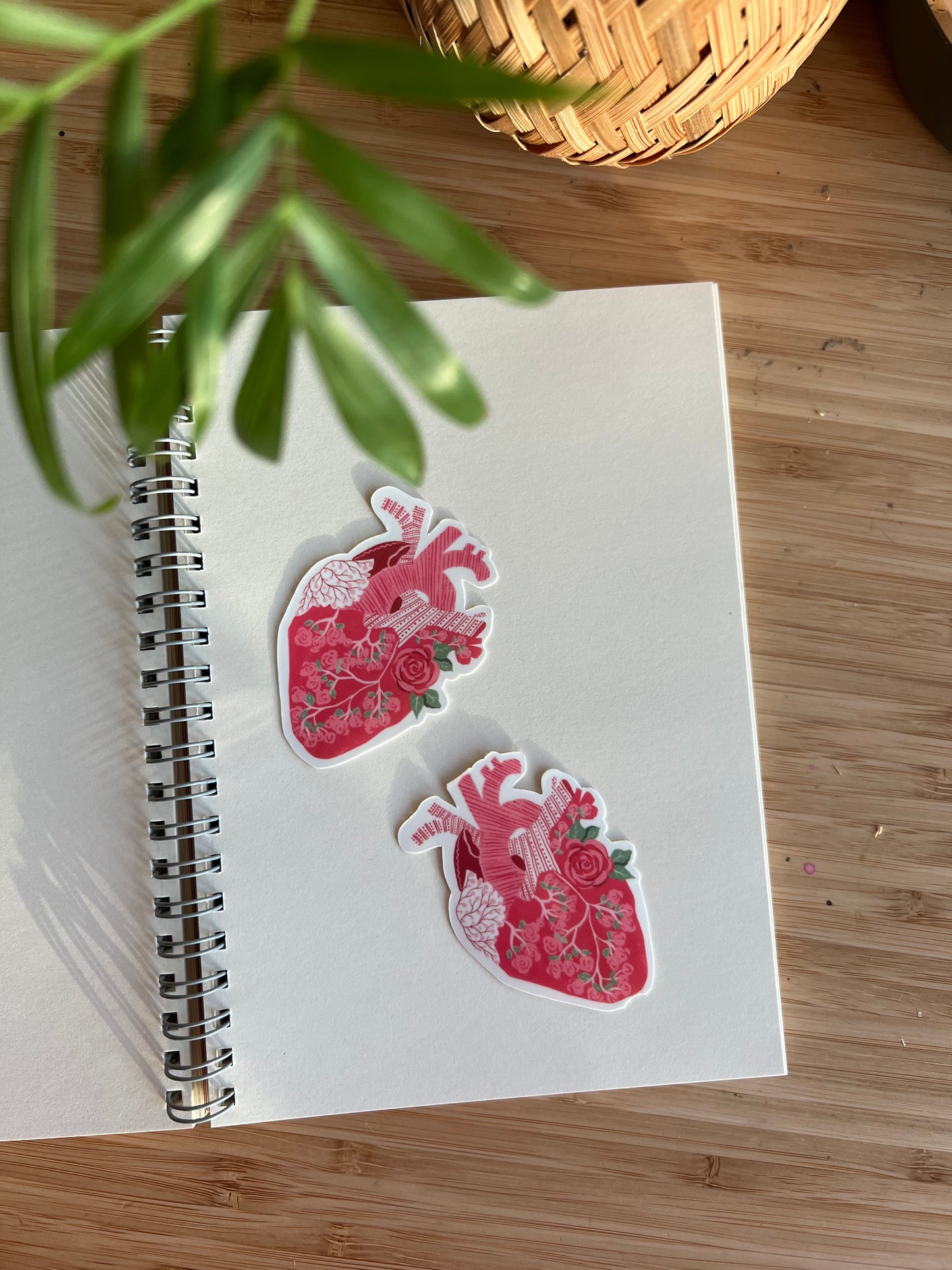 Anatomical Heart floral Sticker , laptop sticker, phone sticker, waterbottle stickers, waterproof stickers, kindle sticker